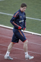Fernando Torres photo #