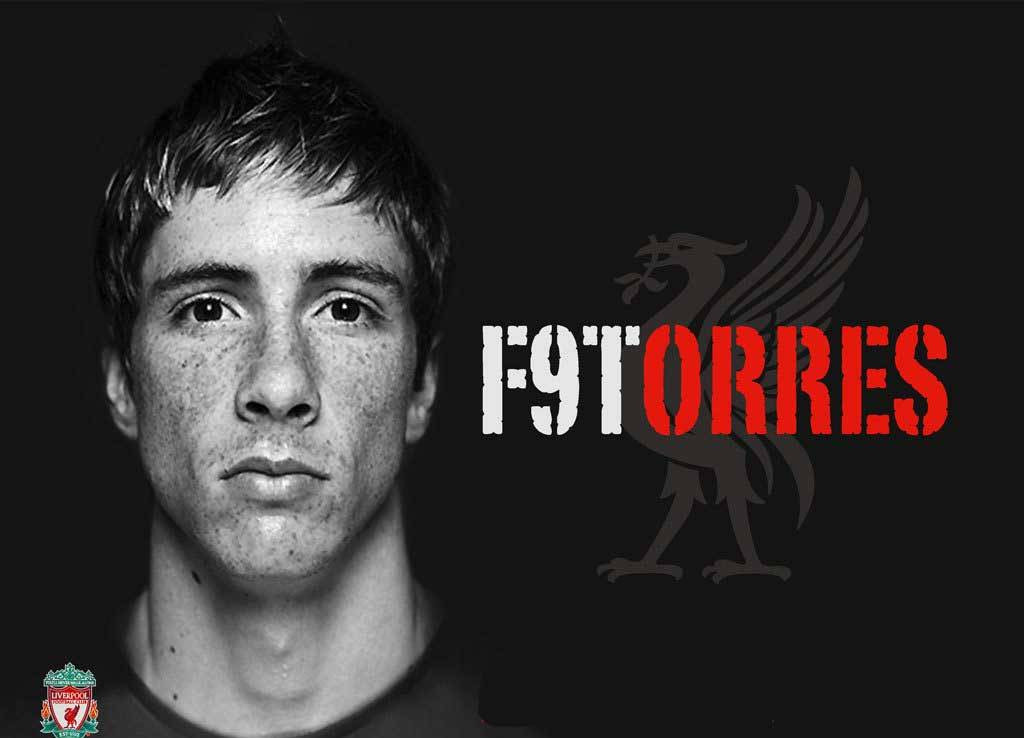 Fernando Torres: pic #268694