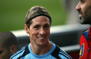 Fernando Torres photo #