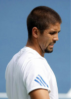 Fernando Verdasco pic #398032