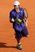 Fernando Verdasco photo #