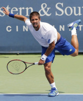 Fernando Verdasco pic #398033