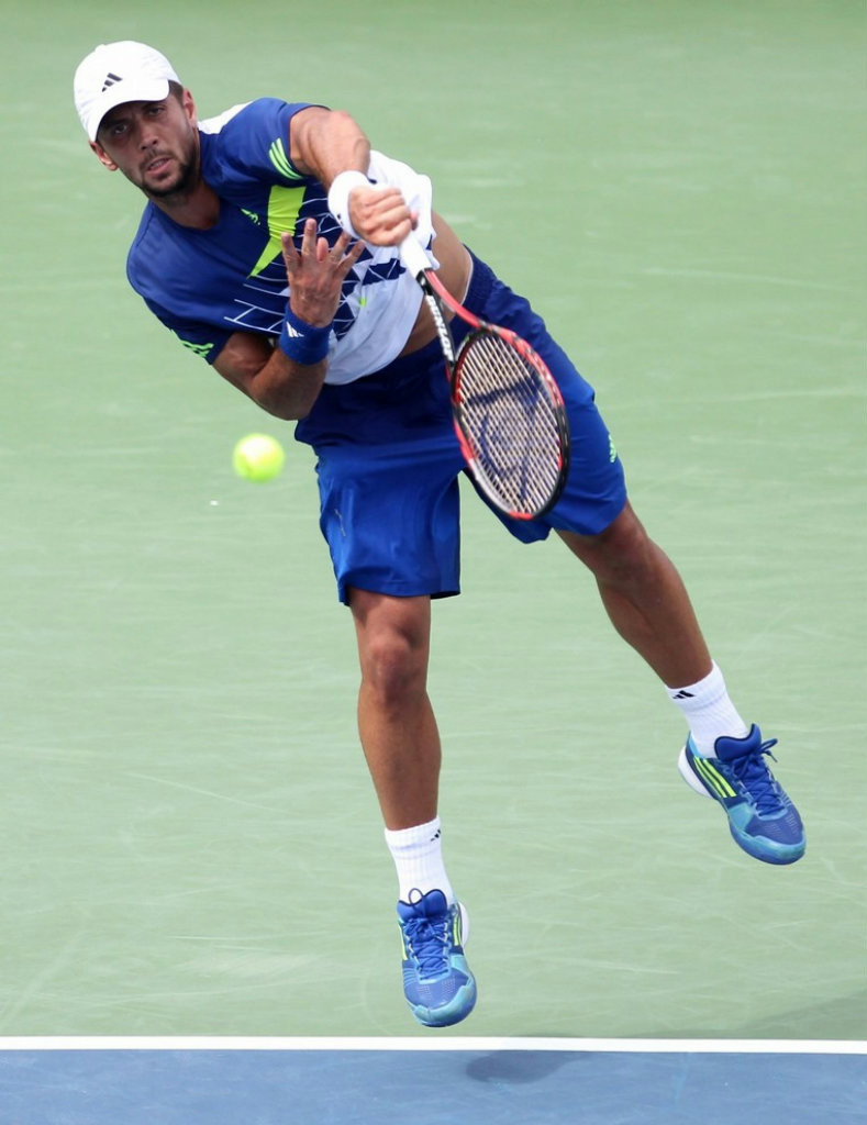 Fernando Verdasco: pic #398031