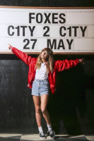 Foxes photo #