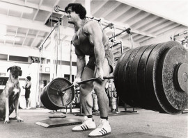 Franco Columbu pic #233011