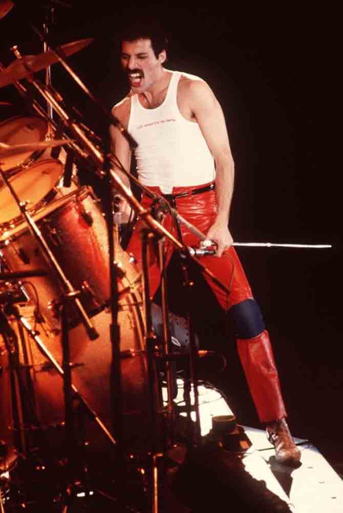 Freddie Mercury: pic #676345