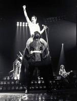 Freddie Mercury pic #697792
