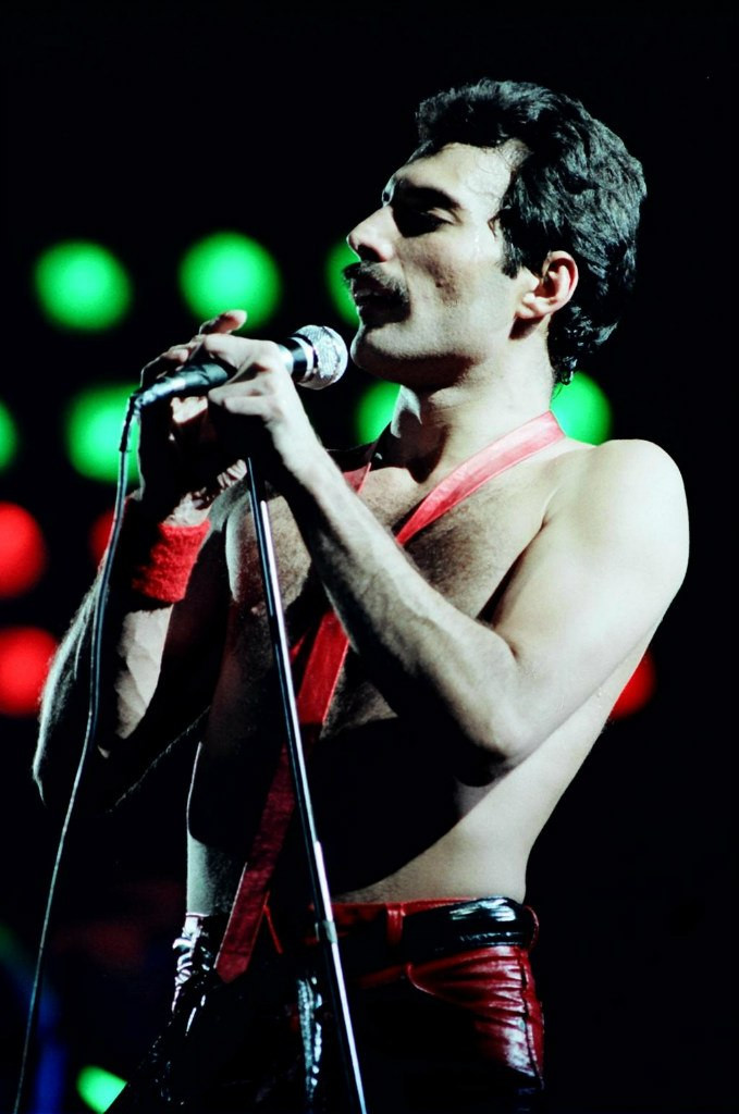 Freddie Mercury: pic #688504