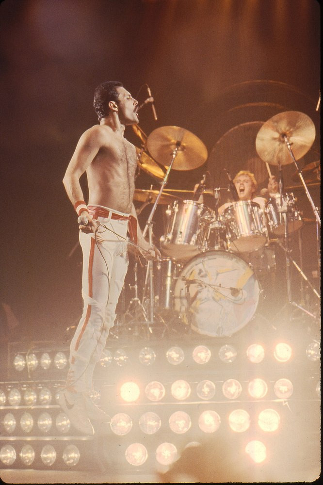 Freddie Mercury: pic #683402