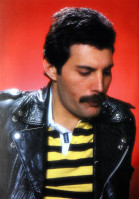 photo 7 in Freddie Mercury gallery [id705155] 2014-06-03