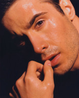 Freddie Prinze Jr. photo #