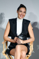 Gal Gadot photo #