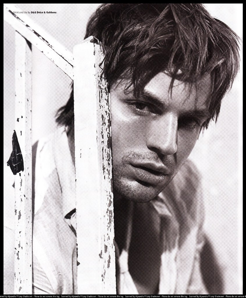 Gale Harold: pic #646347