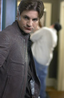 photo 22 in Gale Harold gallery [id639418] 2013-10-18