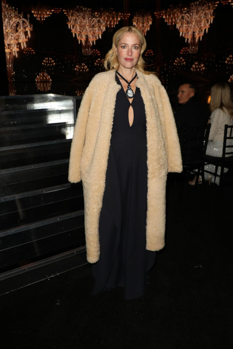Gillian Anderson: pic #1284039