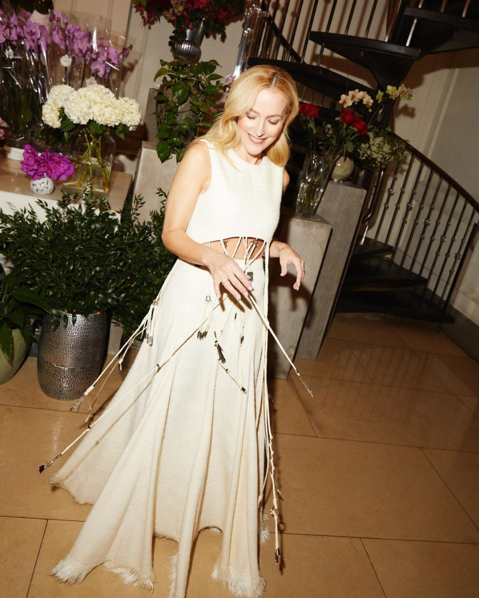Gillian Anderson: pic #1280488