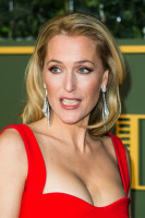 photo 15 in Gillian Anderson gallery [id814534] 2015-11-25