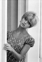 Goldie Hawn photo #