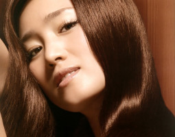 Gong Li photo #