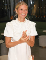 Gwyneth Paltrow photo #