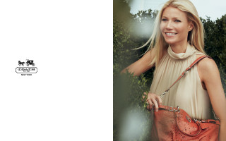 Gwyneth Paltrow photo #