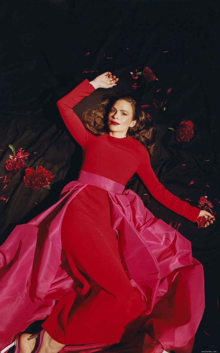 Hayley Atwell: pic #1364011