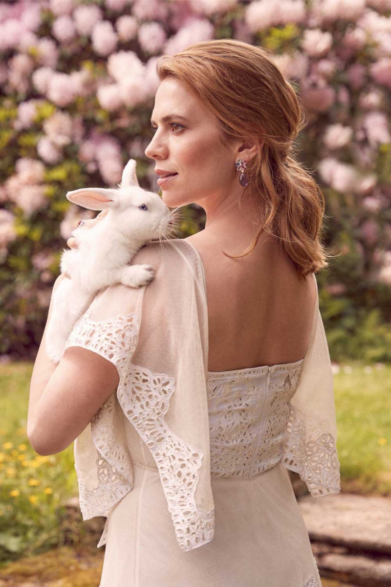 Hayley Atwell: pic #1061346