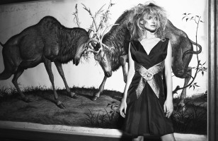Heather Graham photo #