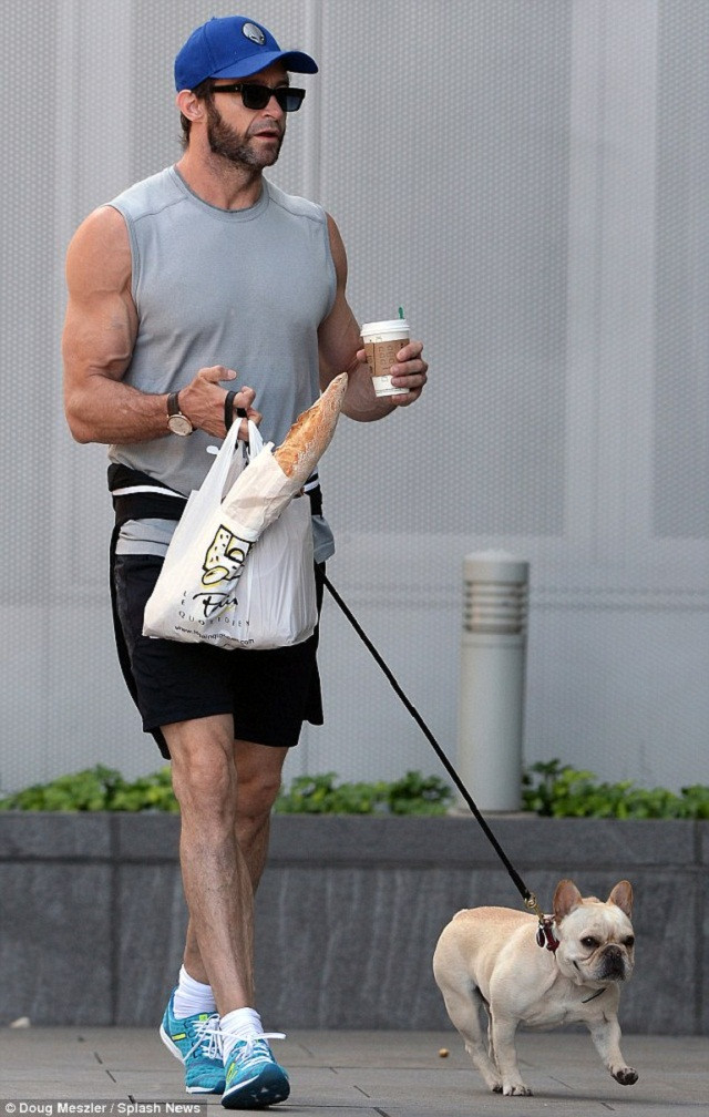 Hugh Jackman: pic #614999