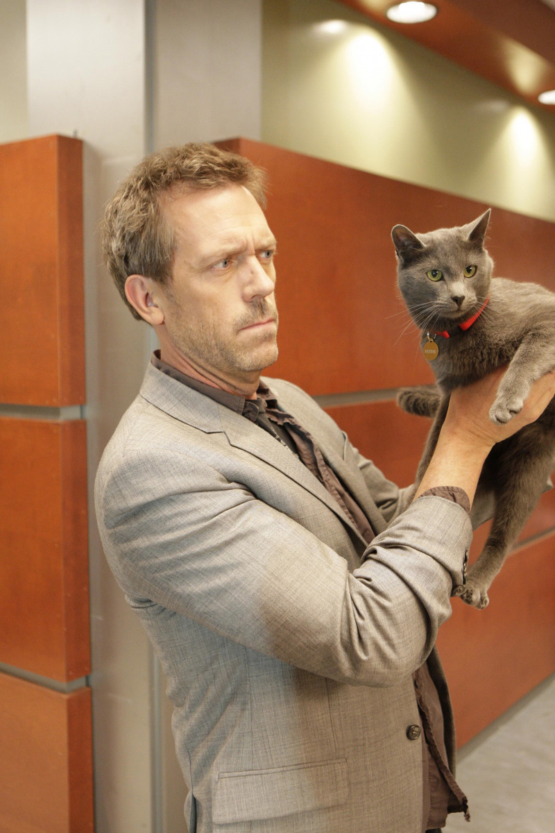 Hugh Laurie: pic #247089