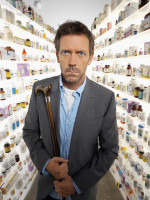 photo 8 in Hugh Laurie gallery [id288343] 2010-09-17