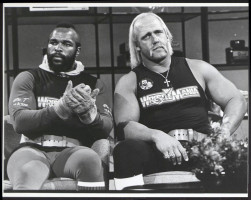 Hulk Hogan photo #