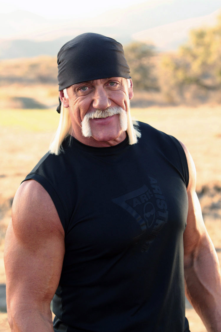 Hulk Hogan: pic #119902