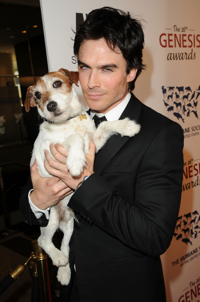 Ian Sommerhalder: pic #465844