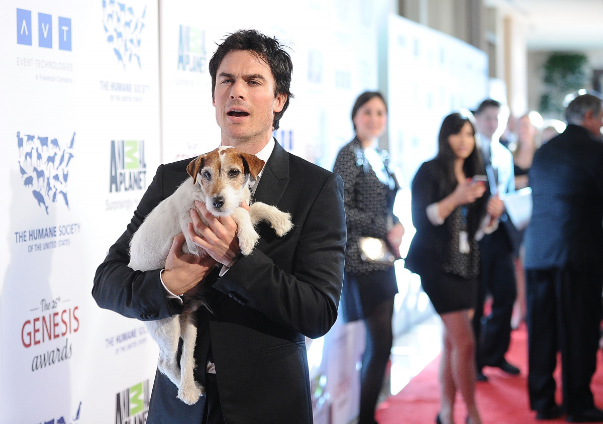 Ian Sommerhalder: pic #465841