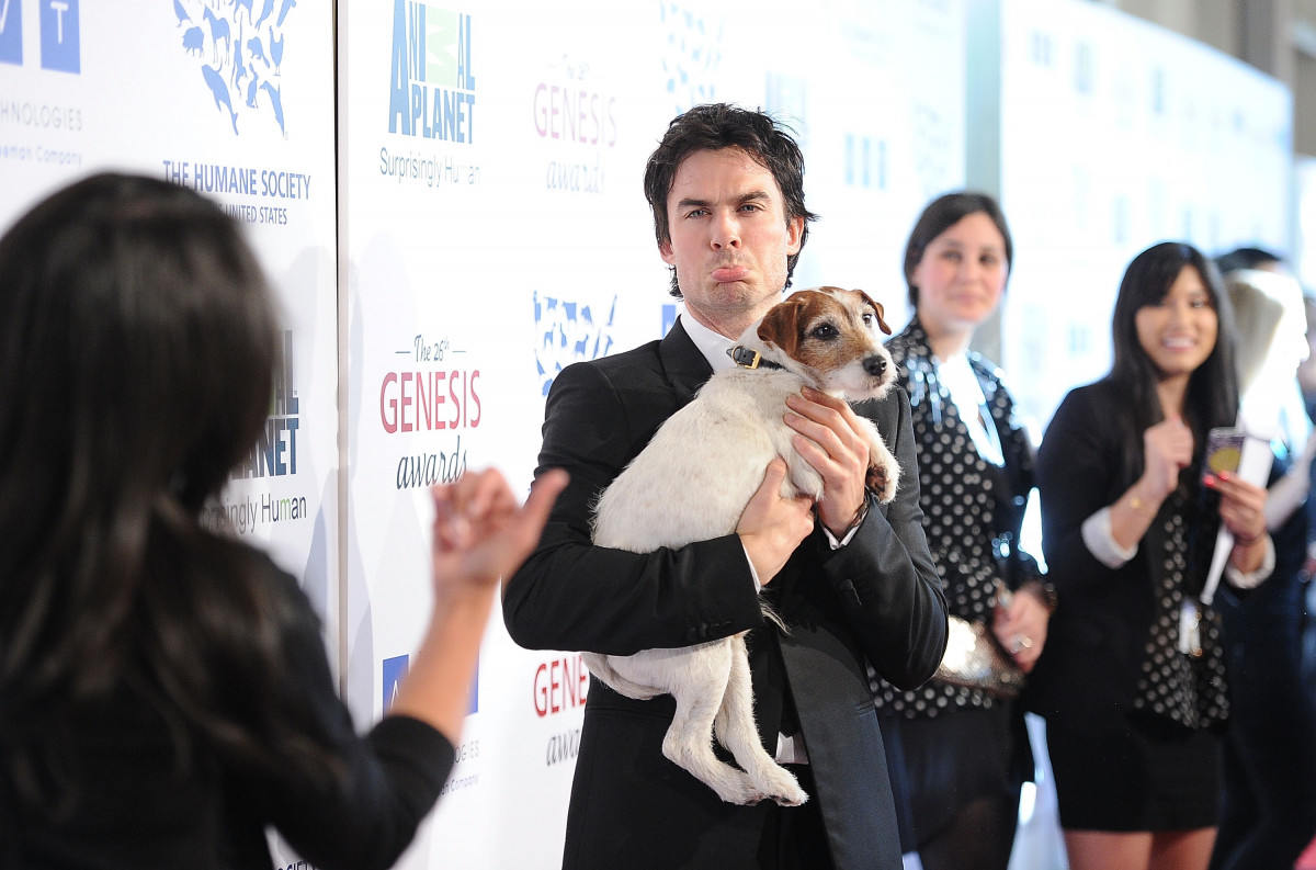 Ian Sommerhalder: pic #465842