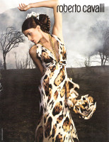 Isabeli Fontana photo #