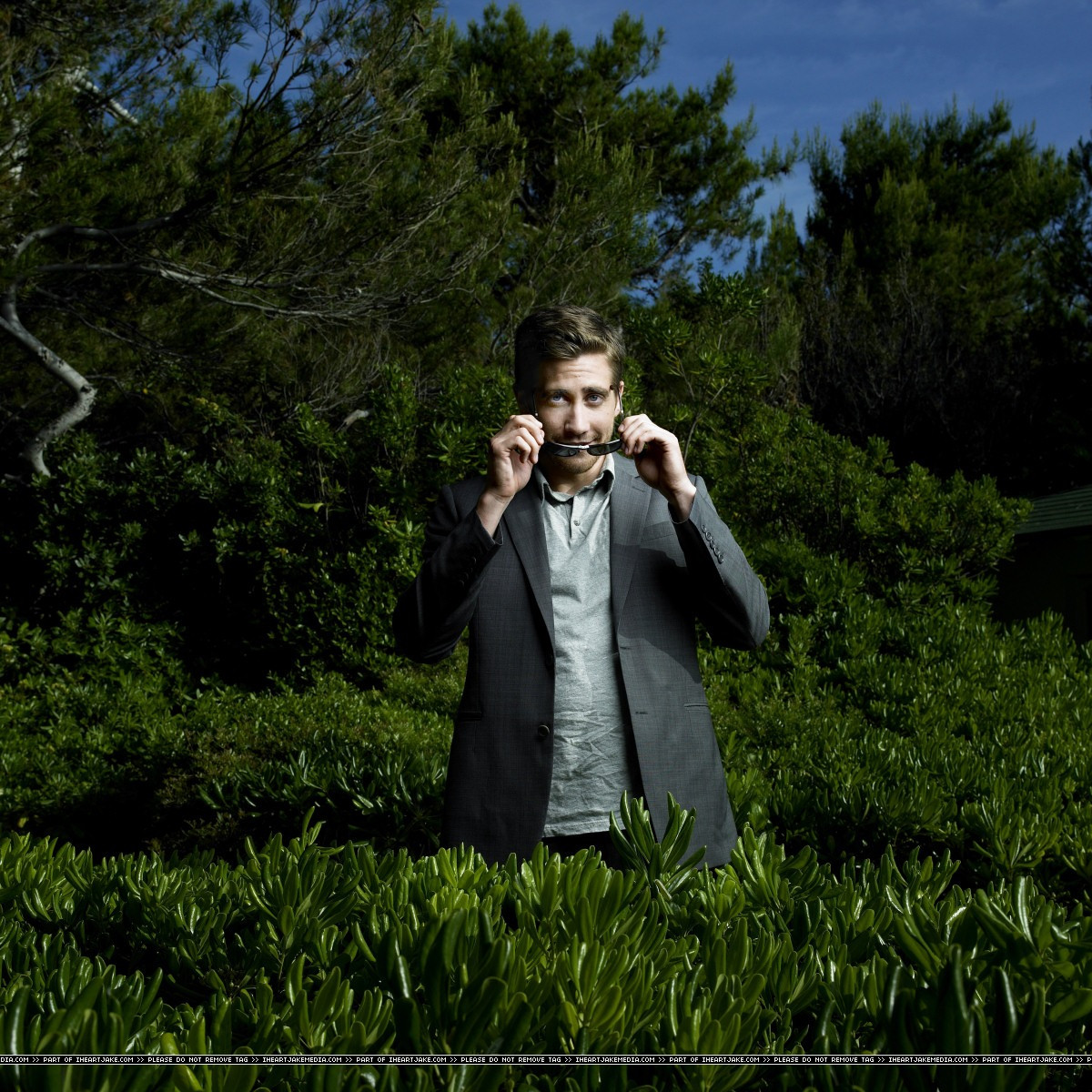 Jake Gyllenhaal: pic #244163