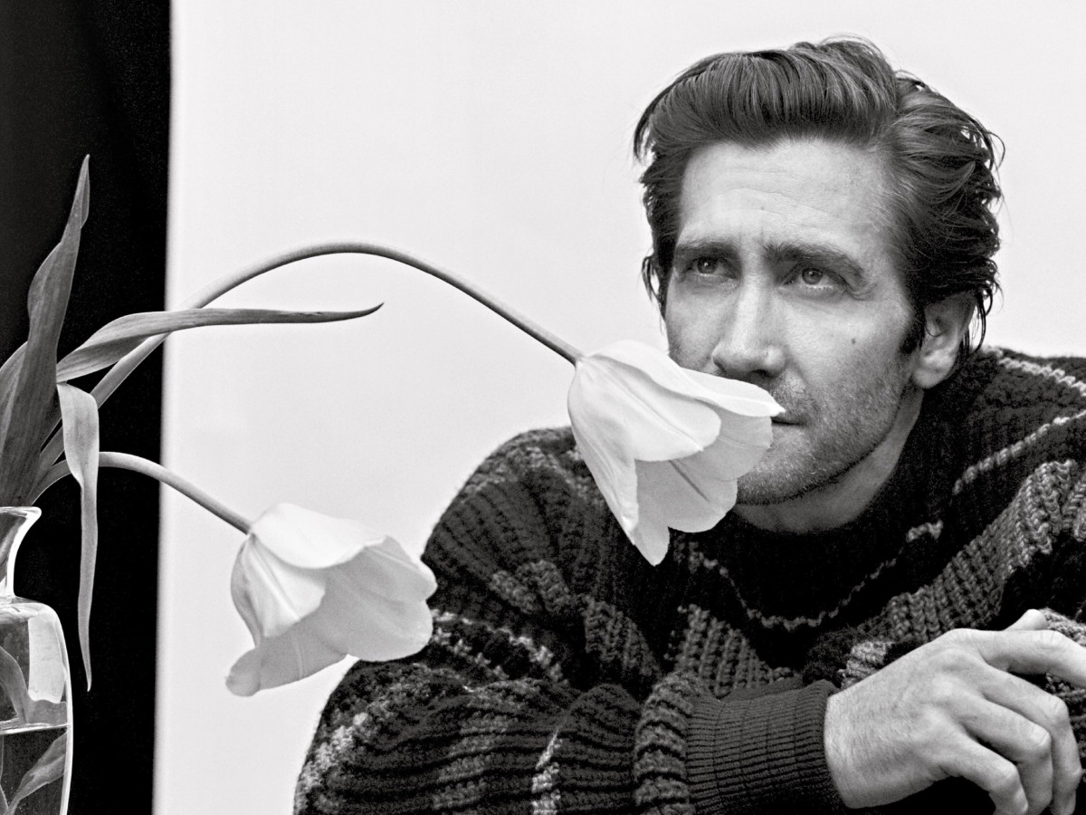 Jake Gyllenhaal: pic #1169530