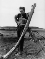 James Dean photo #