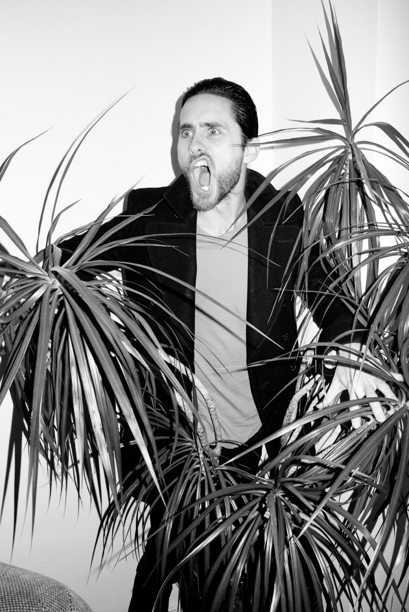 Jared Leto: pic #470210