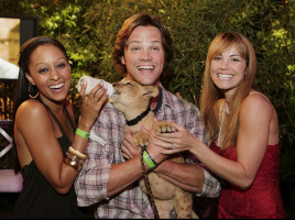 photo 17 in Jared gallery [id413453] 2011-10-19