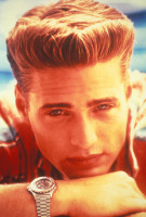 Jason Priestley photo #