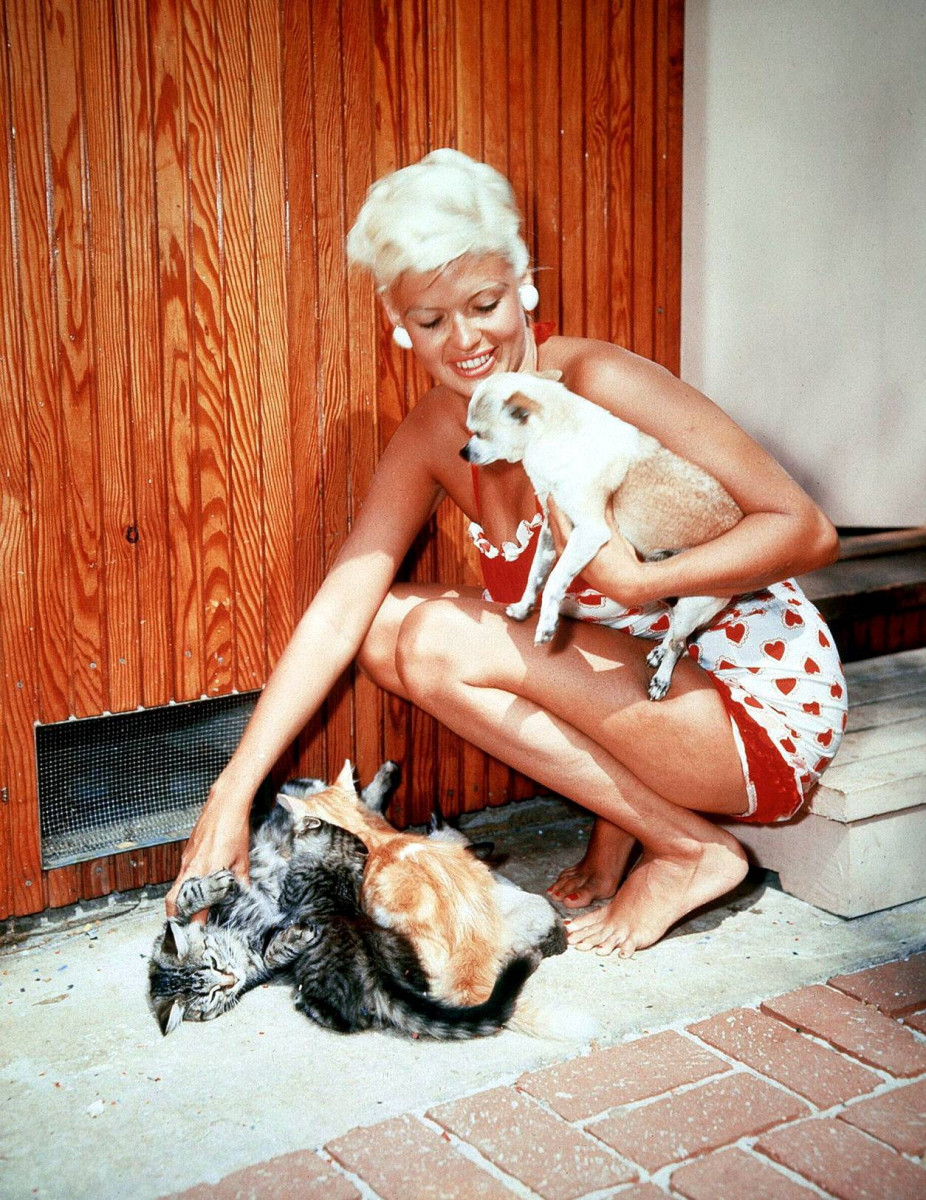 Jayne Mansfield: pic #470265