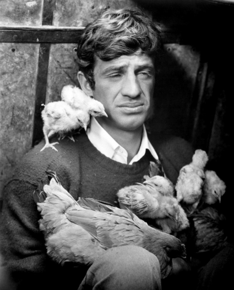 Jean Paul Belmondo: pic #406736