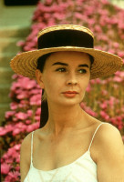Jean Simmons pic #407555