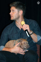 Jensen Ackles photo #