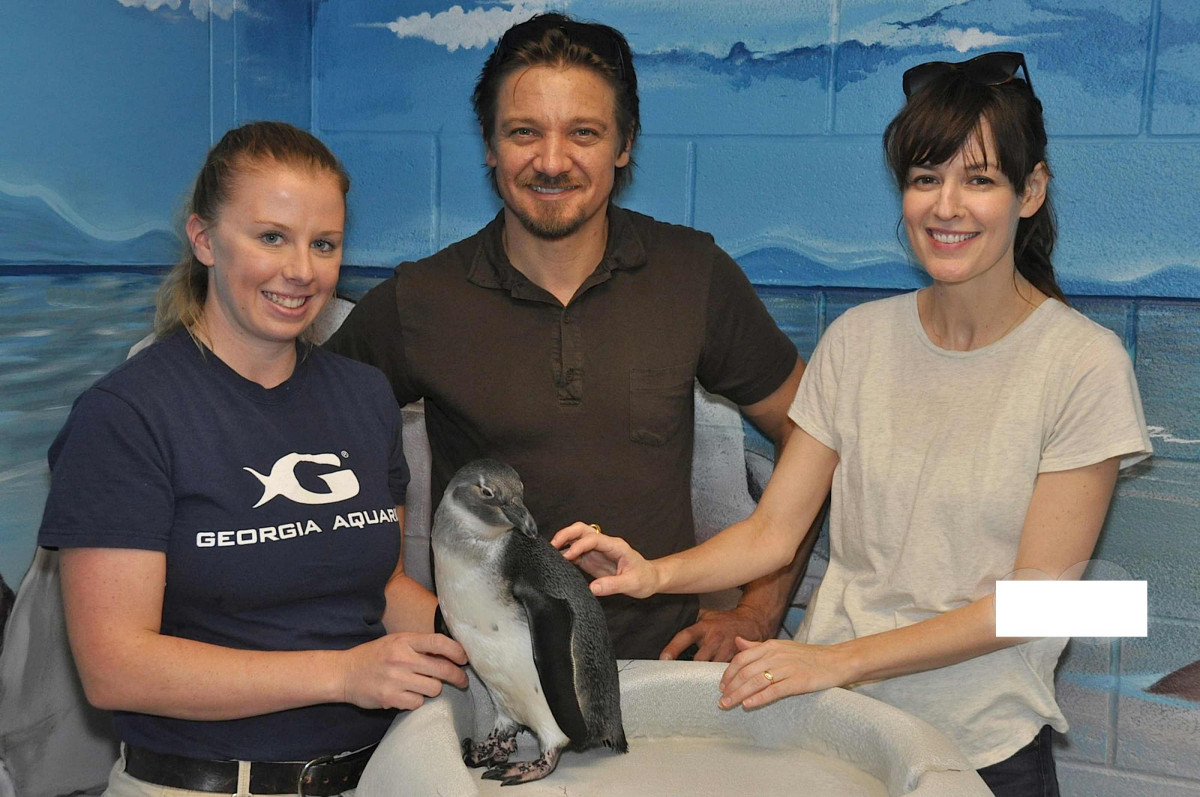 Jeremy Renner: pic #670657