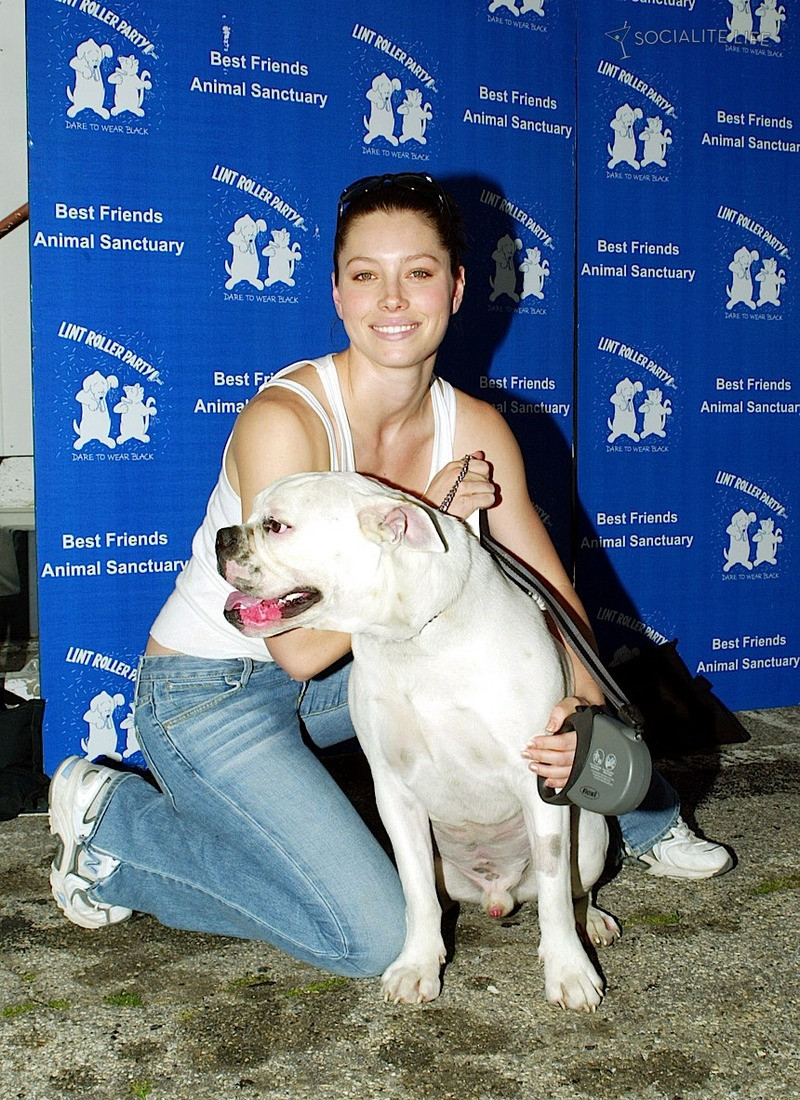 Jessica Biel: pic #258727