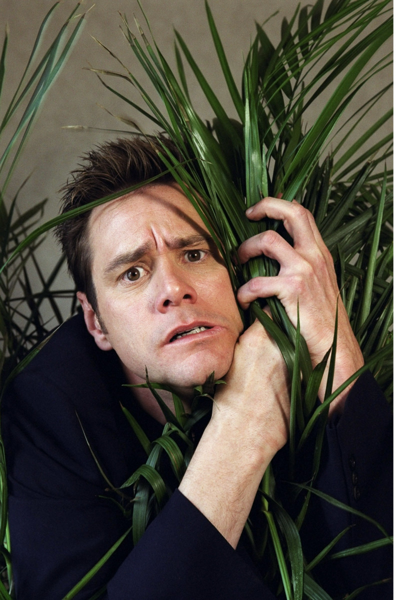 Jim Carrey: pic #135539